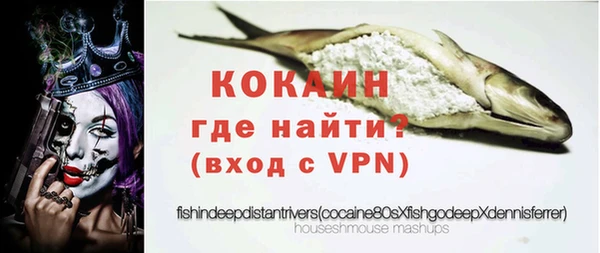 соль ск Абаза