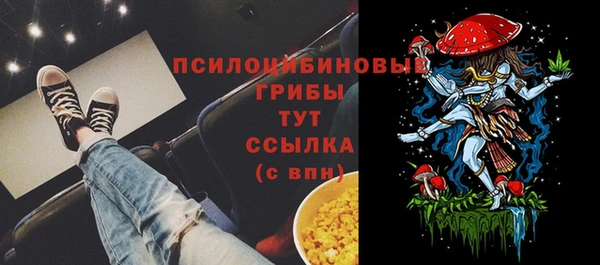 соль ск Абаза