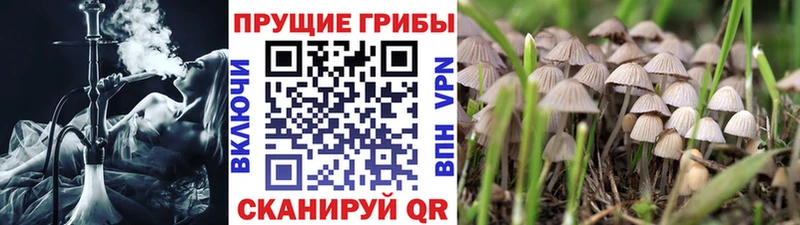 ссылка на мегу рабочий сайт  Инта  Галлюциногенные грибы Magic Shrooms 